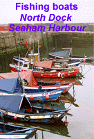 Fishing boats