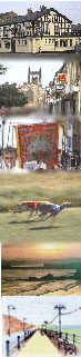 collage of pictures