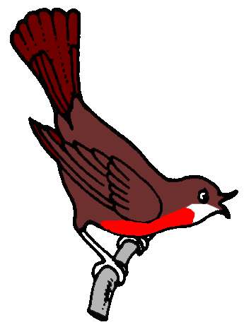 robin gif