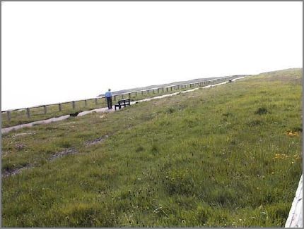 The picture was taken from the (rougher) driveway.  At this point the walker has reached Liddell Stack and is about halfway between the Dock Company roundabout and Noses Point. 