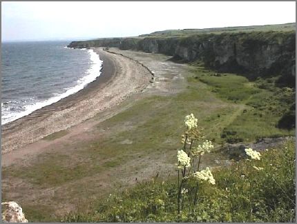 The cliff and the shore below has always been fascinating.  There is an open coal seam below the surface of the sea just off shore.  Fishermen used to light coal fires on the beach and fish throughout the night.